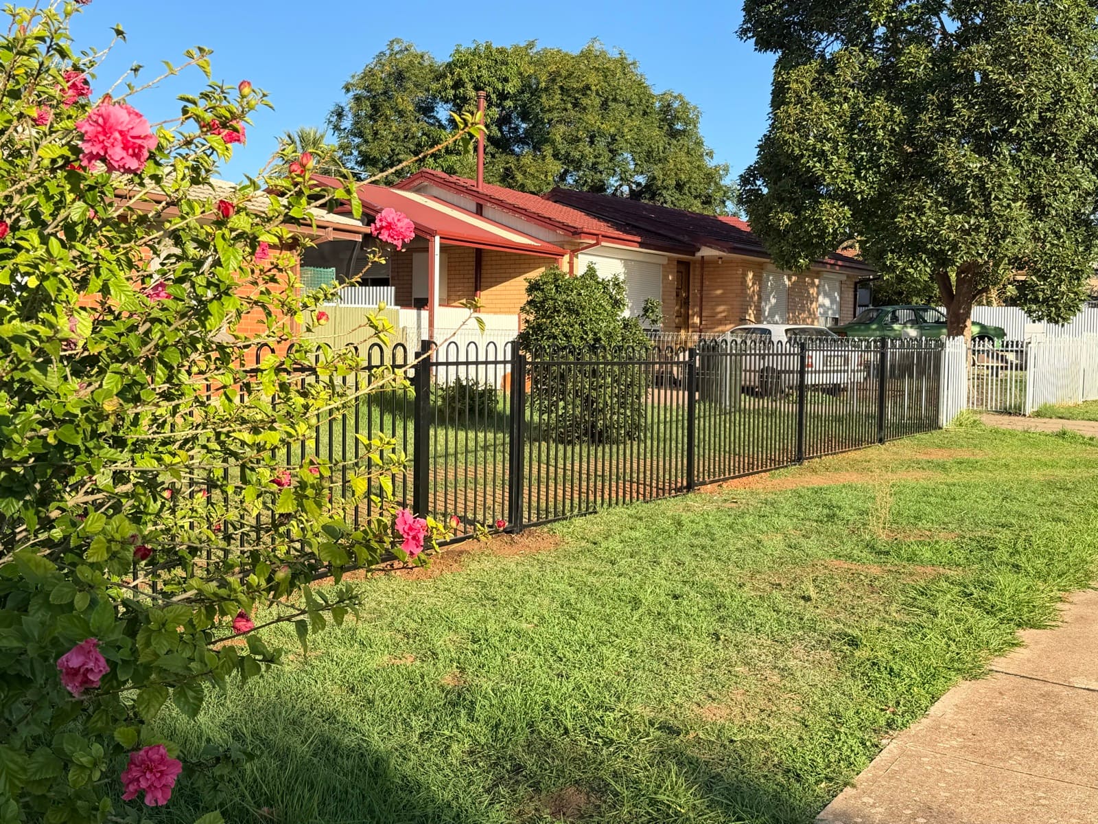 Black hoop-top tubular metal fence installed along a suburban front yard with flowering shrubs in Adelaide