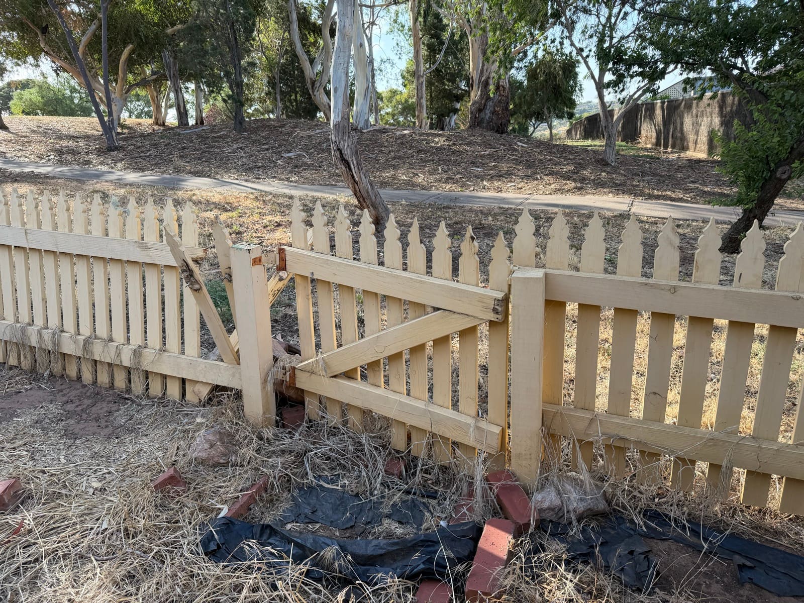 Damaged cream timber picket fence and sagging gate with broken pickets before repair in Adelaide