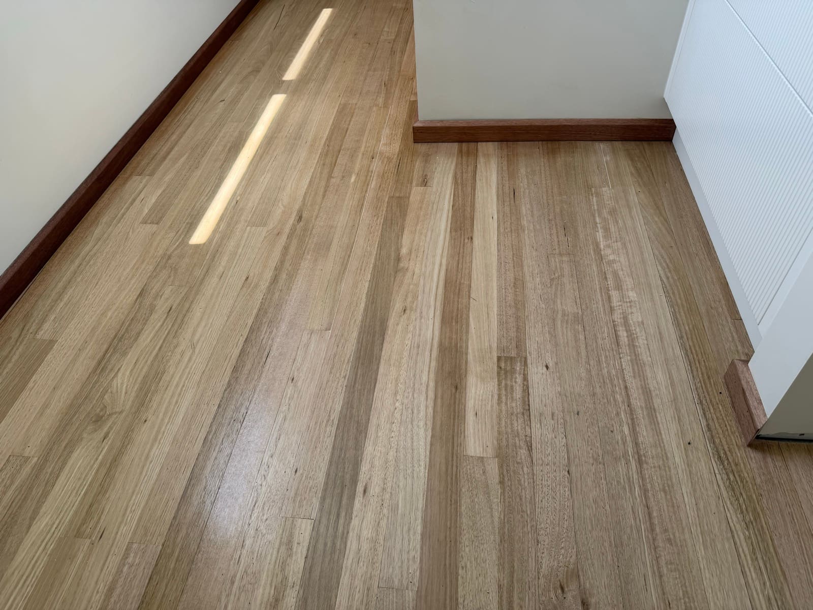 Light timber flooring with dark wood skirting boards installed in an Adelaide home